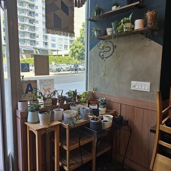 Mio + Tuo - Adore the plant corner - Coffee & Tea Near Me - San Diego, California Mio + Tuo - Adore the plant corner - Coffee & Tea Near Me - San Diego, California