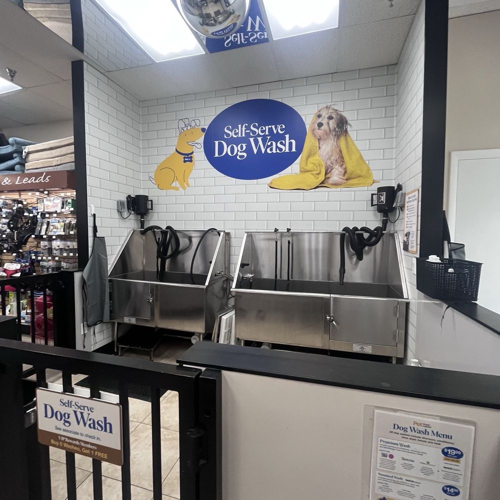 car wash self wash dog places near me