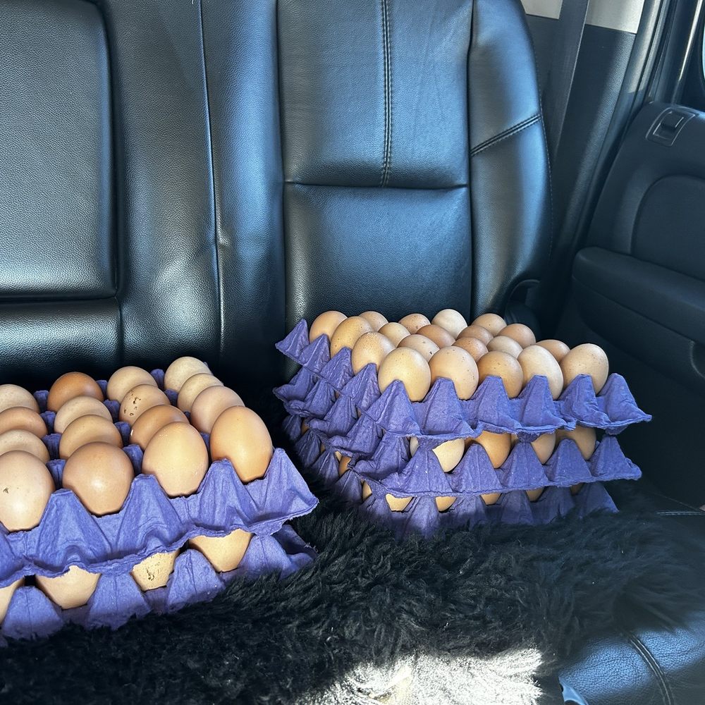 Billy's Egg Farm - 100 Jumbo $60... (prices fluctuate) - Specialty Food Near Me - Chino, California