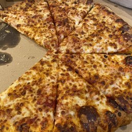 cheese pizza. it could have had a little more cheese on it, but the kids ate it up.