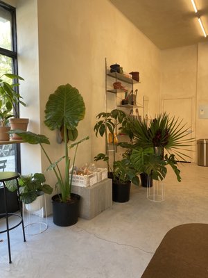 Botani Cafe by null