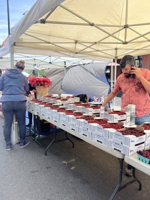 Queen Anne Farmers Market by null