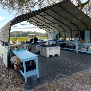JG Ranch - Area selling produce, and to pay for your strawberries. - Farmers Market Near Me - Brooksville, Florida JG Ranch - Area selling produce, and to pay for your strawberries. - Farmers Market Near Me - Brooksville, Florida