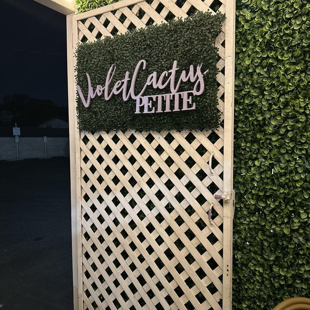 Violet Cactus Petite - Party Equipment Rentals Near Me - Burbank, California