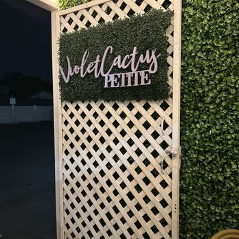 Violet Cactus Petite - Party Equipment Rentals Near Me - Burbank, California