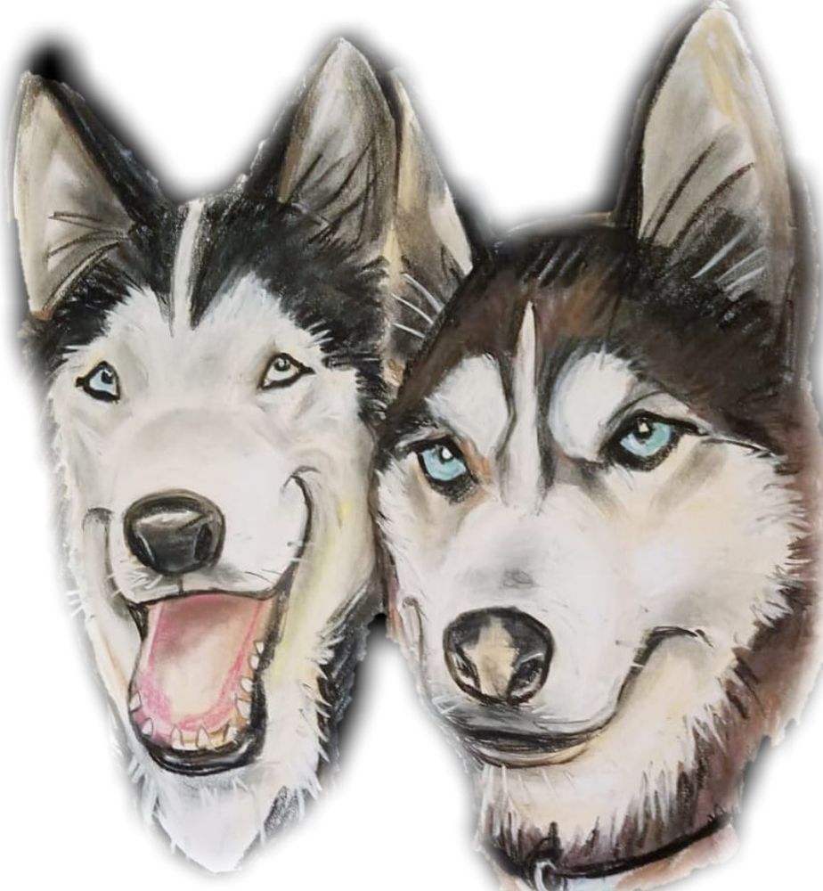 WolfPack PlayDen - pet boarding facility in Kissimmee, FL