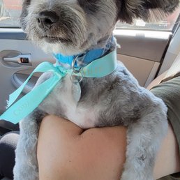 After grooming - July 2022