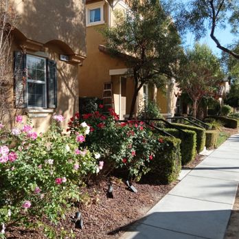 Mejia Tree Services - After removing tree - Masonry/Concrete Near Me