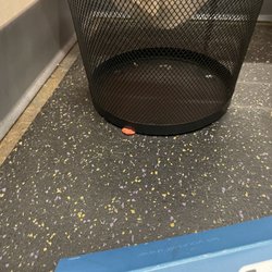 Sun Tan City - GUM right by trash can. Who leaves their gum here and why hasn't it been cleaned up. It was just gross.