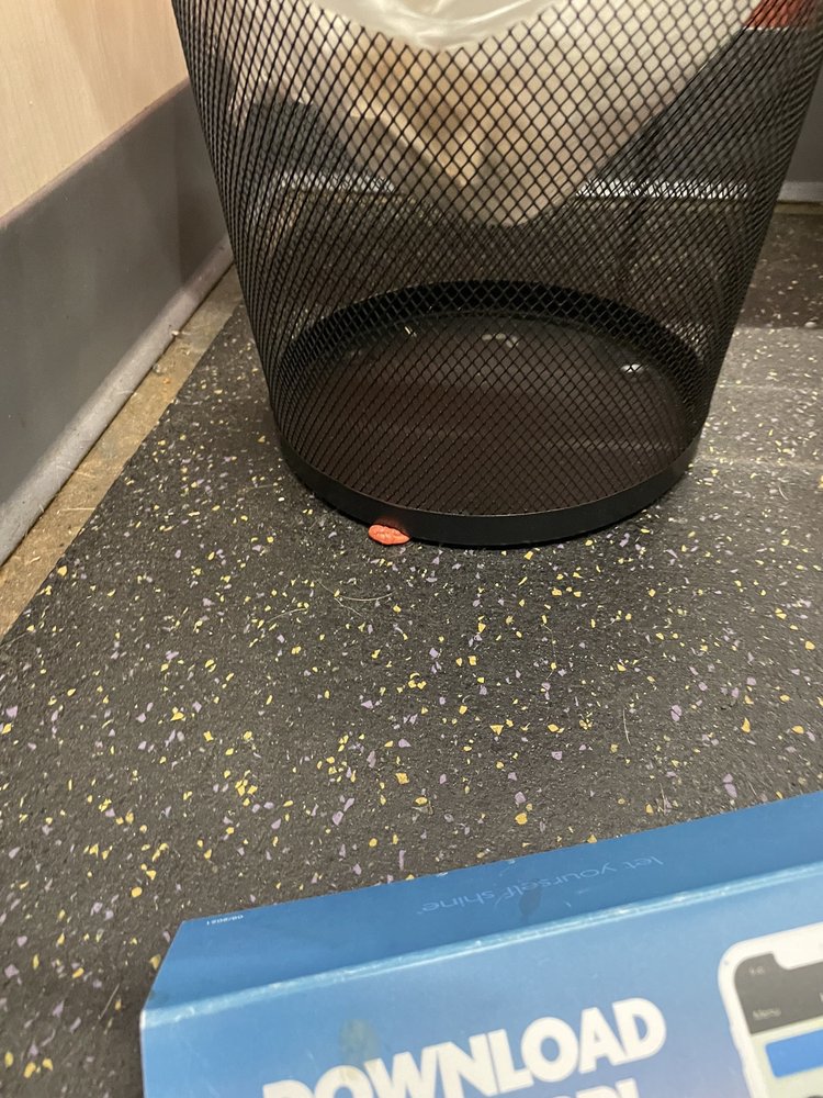 SUN TAN CITY Updated July 2024 12 Photos & 10 Reviews 2003 N