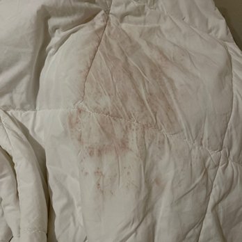 Vanity Salon - Hair dye that bled onto my comforter night of. - Hair Salons Near Me - Houston, Texas