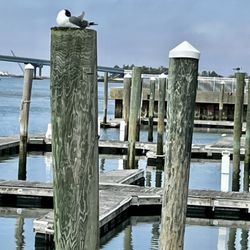 Historic Gardner's Basin