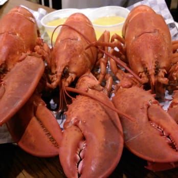 Lobster Cooker - Triple streamed - Seafood Near Me - Freeport, Maine Lobster Cooker - Triple streamed - Seafood Near Me - Freeport, Maine