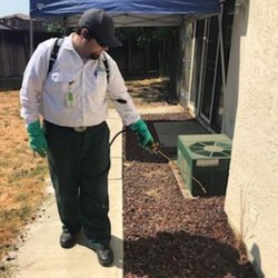 Diablo Valley Pest Control - Foundation treatments help keep out spiders, ants, earwigs, roaches, and other creepy crawlers!