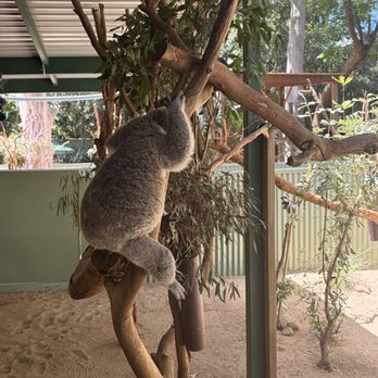 Featherdale Wildlife Park - Parks Near Me - Doonside, NSW Featherdale Wildlife Park - Parks Near Me - Doonside, NSW