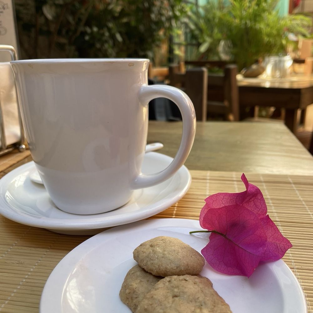 Organic Select - Coffee and GF almond cookies - Organic Stores Near Me - Puerto Vallarta, JAL Organic Select - Coffee and GF almond cookies - Organic Stores Near Me - Puerto Vallarta, JAL