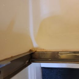 Moldy shower Moldy shower