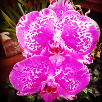 Bath Garden Center & Nursery - Wide variety of plants - Nurseries & Gardening Near Me - Fort Collins, Colorado Bath Garden Center & Nursery - Wide variety of plants - Nurseries & Gardening Near Me - Fort Collins, Colorado