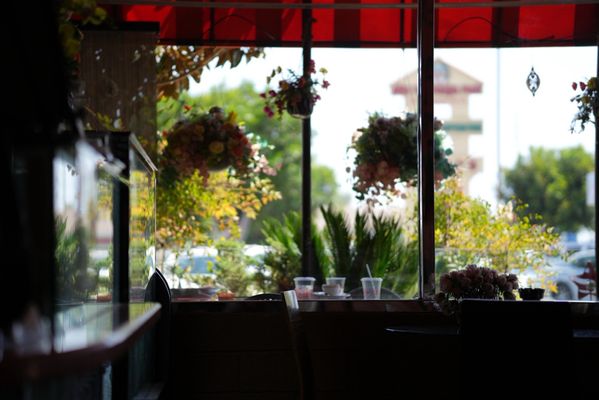 Lynda Sandwich by null