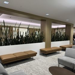 Norman Parathyroid Center - Waiting area