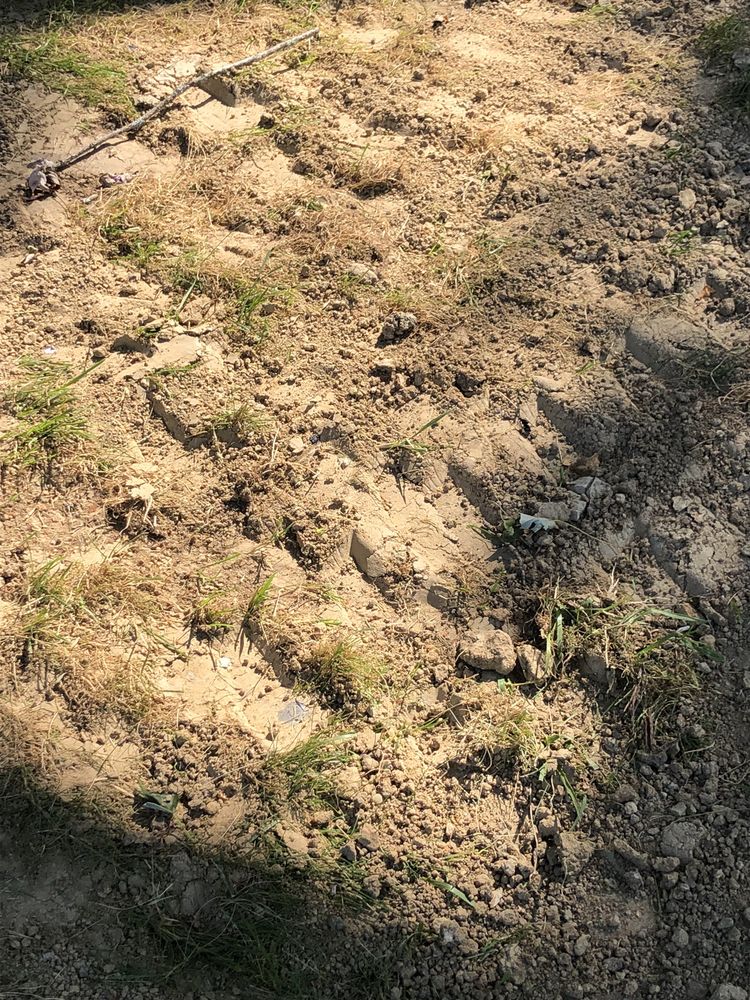 A MIDWEST SEWER CLEANING & SEPTIC TANK Updated September 2024 3508