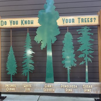 Calaveras Big Trees State Park - At visitor center - Parks Near Me - Arnold, California Calaveras Big Trees State Park - At visitor center - Parks Near Me - Arnold, California