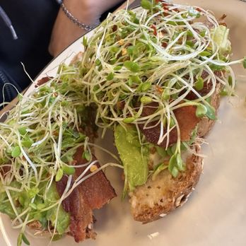 Snow City Cafe - Avocado toast with bacon and sprouts. - Breakfast & Brunch Near Me - Anchorage, Alaska