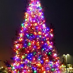 Airport Plaza Shopping Ctr - Holiday Lights..