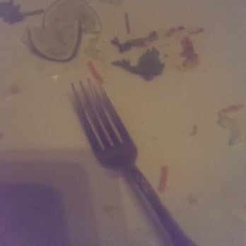 Kaya - Empty plate of the tacos.  Good guac too! - Caribbean Near Me - Pittsburgh, Pennsylvania