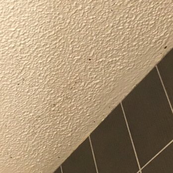 Hyatt Regency Chicago - Bathroom mold - Hotels Near Me - Chicago, Illinois Hyatt Regency Chicago - Bathroom mold - Hotels Near Me - Chicago, Illinois