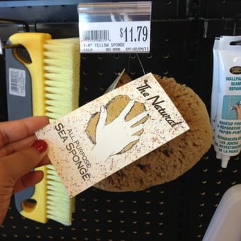 Sherwin-Williams Paint Store - Sea sponges to make Faux Old world impressions on your walls - Paint Stores Near Me - San Mateo, California Sherwin-Williams Paint Store - Sea sponges to make Faux Old world impressions on your walls - Paint Stores Near Me - San Mateo, California