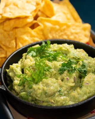 Tripping Animals Brewing Co. by null