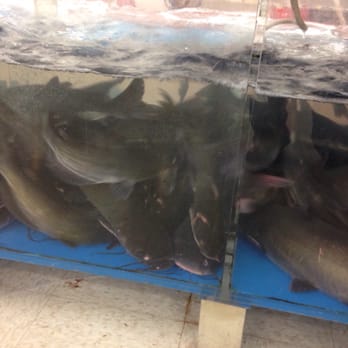Li Ming's Global Mart - Catfish - Grocery Near Me - Greensboro, North Carolina Li Ming's Global Mart - Catfish - Grocery Near Me - Greensboro, North Carolina