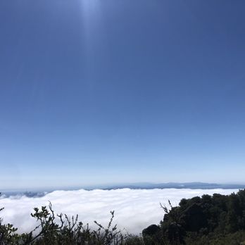 Mount Tamalpais State Park - Parks Near Me - Mill Valley, California Mount Tamalpais State Park - Parks Near Me - Mill Valley, California