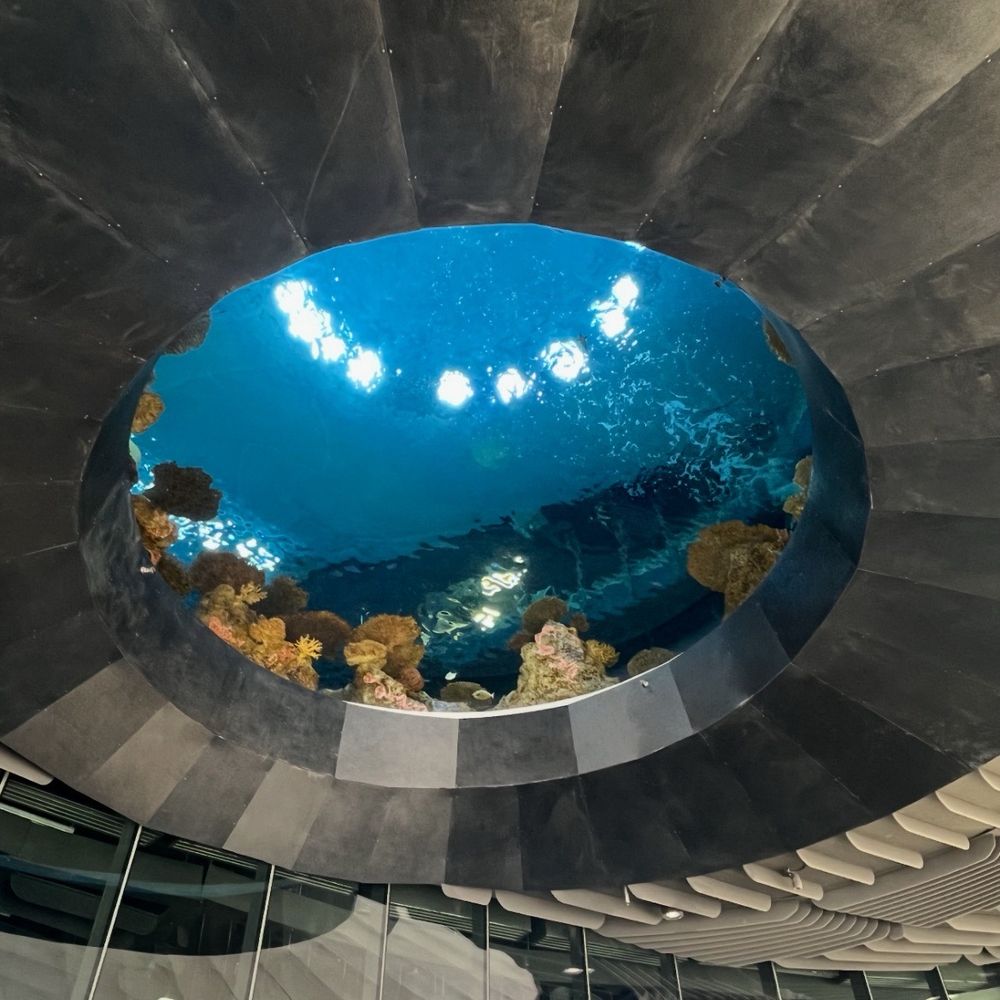 Seattle Aquarium - Aquariums Near Me - Seattle, Washington Seattle Aquarium - Aquariums Near Me - Seattle, Washington
