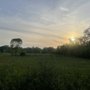 Photo of Berkeley Prairie Forest Preserve