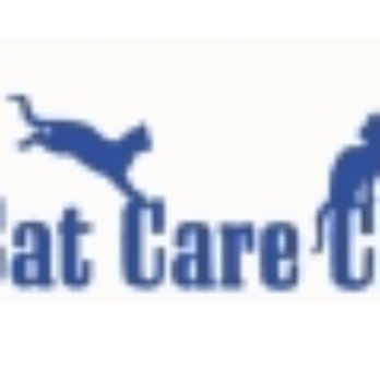 Cat Care Clinic - Veterinarians Near Me - Forest Lake, Minnesota Cat Care Clinic - Veterinarians Near Me - Forest Lake, Minnesota