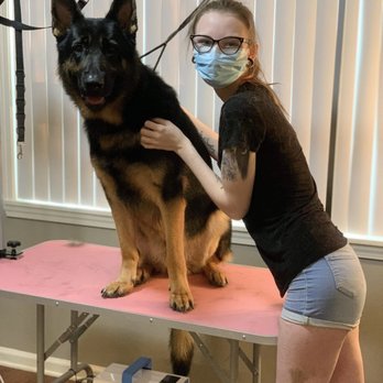 Breannas Pawsitive Touch - Pet Groomers Near Me - Fort Campbell, Kentucky