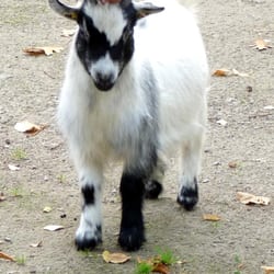 Tierpark Chemnitz