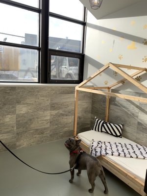 DOGGIEVILLE MTL by null