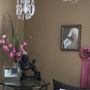Photo of Pampered Poodle