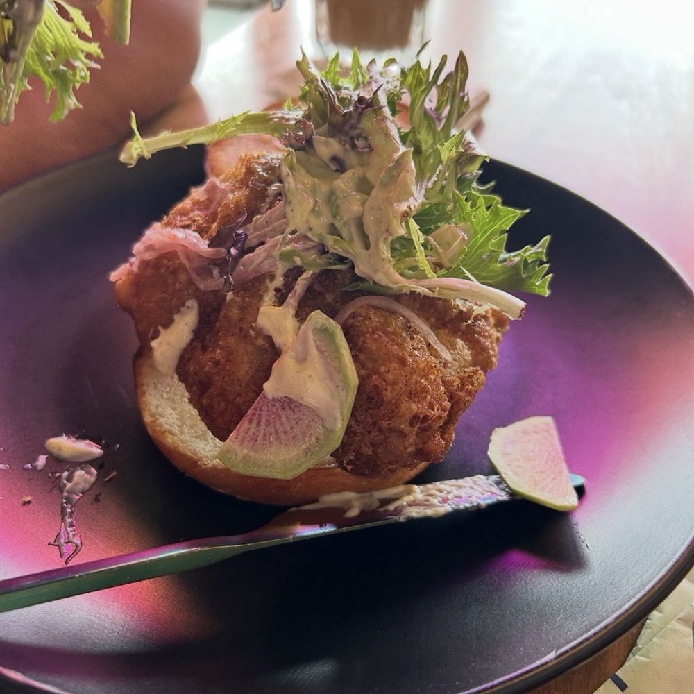 Atria Cafe - Chicken sandwich - Cafes Near Me - Lakewood Ranch, Florida