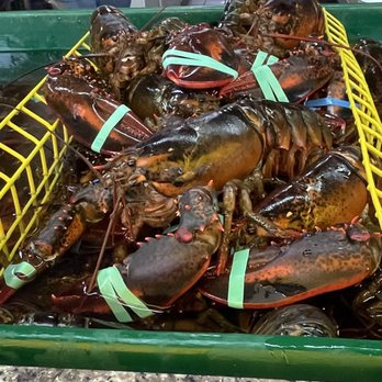 Thurston's Lobster Pound - Pick a lobster - Seafood Near Me - Bernard, Maine Thurston's Lobster Pound - Pick a lobster - Seafood Near Me - Bernard, Maine