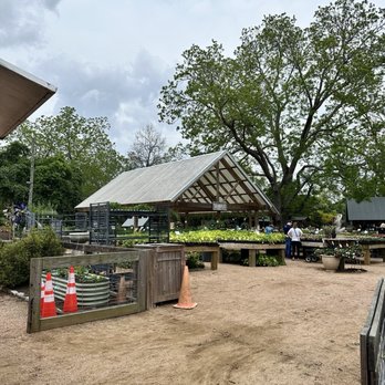 Enchanted Forest - Nurseries & Gardening Near Me - Richmond, Texas