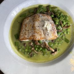 Local Halibut