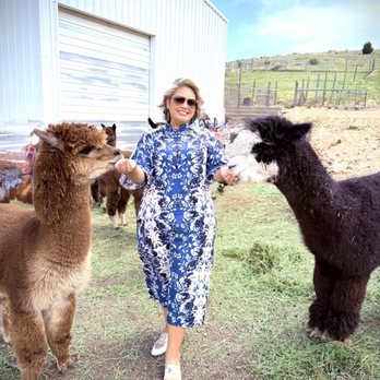 Smooth Alpaca Experience - Petting Zoos Near Me - Golden, Colorado Smooth Alpaca Experience - Petting Zoos Near Me - Golden, Colorado