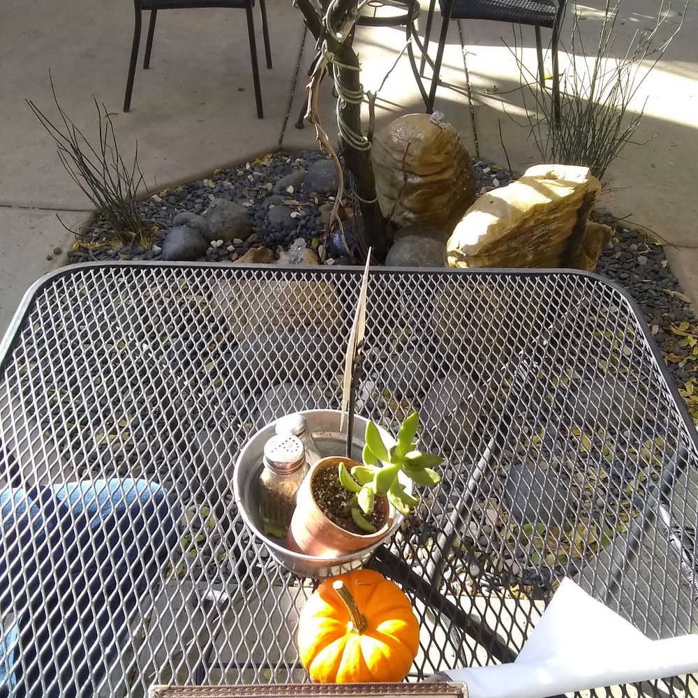 Longbranch Saloon - Cute pumpkin on each tables - Burgers Near Me - Creston, California Longbranch Saloon - Cute pumpkin on each tables - Burgers Near Me - Creston, California