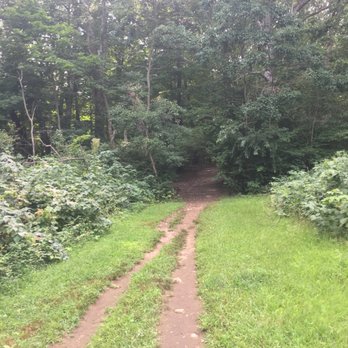 Centennial Park - Centennial Park of Wellesley -- 180 Oakland St, Wellesley         Park - Dog Parks Near Me - Wellesley, Massachusetts