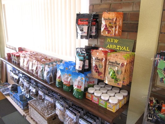 Canine To Five by null