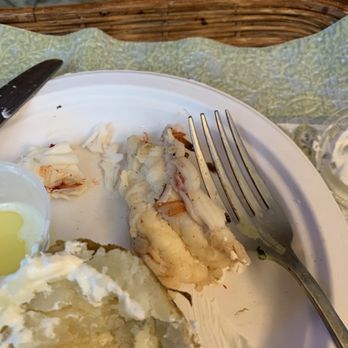 Outback Steakhouse - Cold dry lobster and a cold dry baked potato - Steakhouses Near Me - Gainesville, Virginia Outback Steakhouse - Cold dry lobster and a cold dry baked potato - Steakhouses Near Me - Gainesville, Virginia